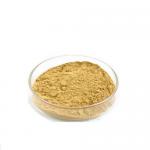 Ashitaba Extract